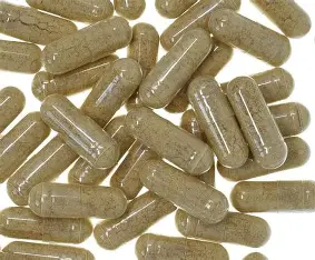 MitoForge Post-Processing Cultivation Center